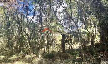 Imagem 6: Lote em Avenida Mata Atlântica - Alpes - São Francisco de Paula/RS