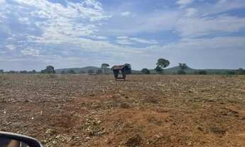 Imagem 2: FAZENDA 222 ALQUEIRES EM PORANGATU GO