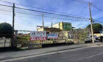 Imagem 5: Imperdível alugo 2 terrenos centro Cp°. Grande com 528m²