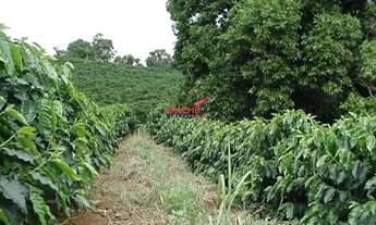 Imagem 6: Fazenda/ Sítio/ Chácara para venda, na Colônia Vaz de Melo, em Viçosa - MG