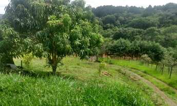 Imagem 6: Venda de chácara em Jarinú