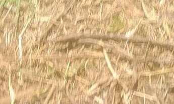 Imagem 3: Terreno com água no fundo