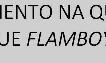 Imagem 2: Apartamento a uma quadra do Parque Flamboyant