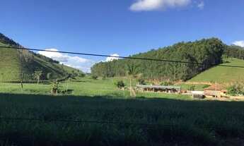 Imagem 3: Venda-se está fazenda de 88 alqueires no Estado de MG