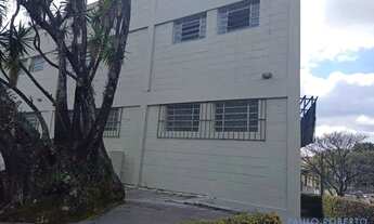 Imagem 7: GALPÃO - CIDADE ADEMAR - SP