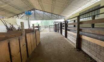 Imagem: Terra boa em Heitoraí( ótima estrutura