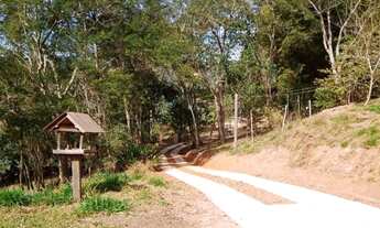 Imagem 6: Vendo chácara com 5004 metros quadrados