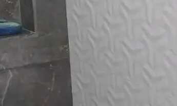 Imagem 6: Vendo excelente casa em Coelho da Rocha aceito propostas (LEIA A DESCRIÇÃO