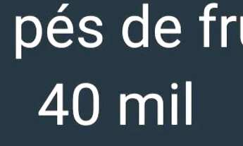 Imagem: Terreno com pés de frutas Centro de Niterói