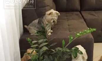 Imagem 3: Sobrado a venda - Jardim Alvorada, Santo André