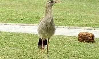 Imagem 4: Lote à venda localiza no Residencial Aldeia do Vale