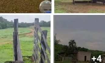 Imagem 2: Vendo essa belicimar terra 96 alqueiro