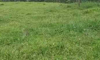 Imagem 4: Chácara de 7 Alqueires em Heitoraí-GO