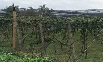 Imagem 7: Vendo chácara no Incra 7, ótima localização