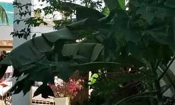 Imagem 2: Casa comercial no Quintas do Calhau