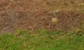 Imagem 3: Bando aceito oferta e trocas