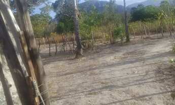 Imagem 3: Casa e terreno em Itapipoca