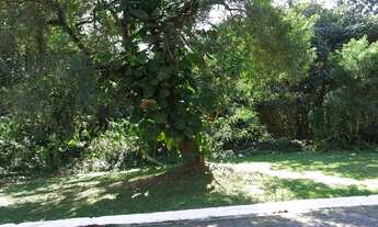 Imagem: Lote em condomínio em Rua Doutor Altair