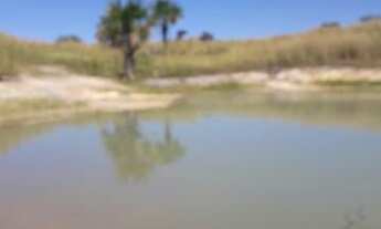 Imagem 5: 11 alqueiros em Mozarlândia