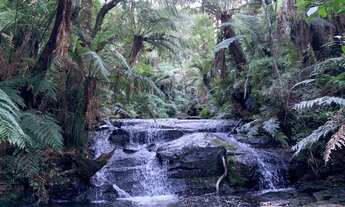Imagem 7: Chácara com cachoeira em Urubici