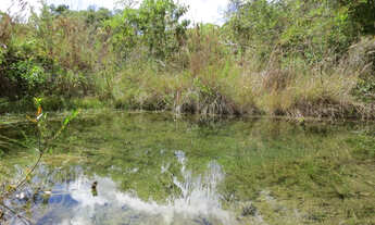 Imagem 2: Área de 85000m2, com nascente e córrego perene só R$110 mil