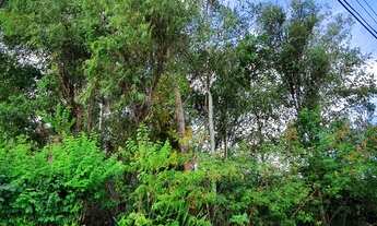 Imagem 2: Ótima oportunidade! Lote com localização privilegiada em condomínio fechado!!