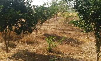 Imagem 3: Chacara a venda. **Oportunidade*