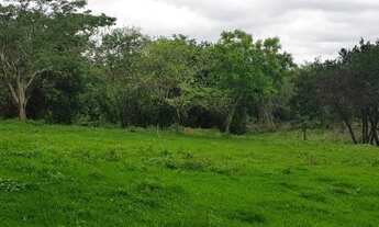 Imagem: No bairro Área Rural em Presidente Prudente