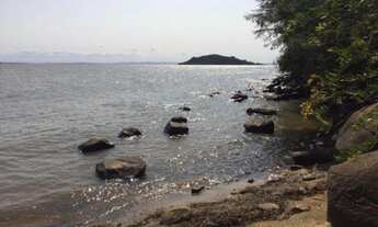 Imagem 6: Lindo sítio no lami c/ 8 hectares com beira de praia de 160 metros em Porto Alegre - RS