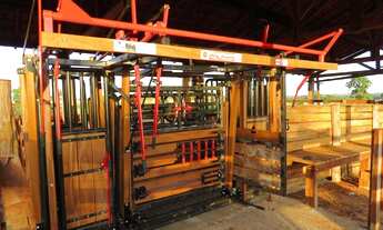 Imagem 3: FAZENDA 46 ALQUEIRES EM CAMPINA VERDE/MG