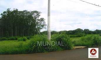 Imagem 4: Terreno (terreno normal