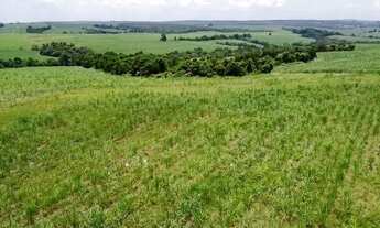 Imagem 4: Porto Feliz-Sp, Fazenda 66 Alqueires