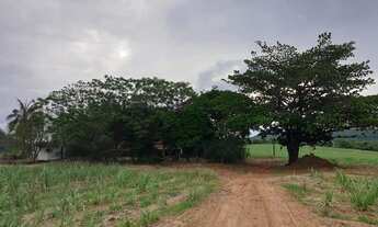 Imagem 2: Sítio Cajuru em Cana de açúcar