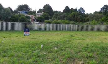 Imagem 2: Viamão - Terreno Padrão - Taruma