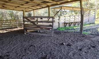 Imagem 7: Rancho Queimado - Fazenda - Vargedo
