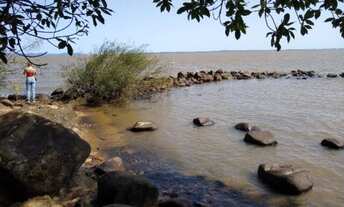 Imagem 5: Lindo sítio no lami c/ 8 hectares com beira de praia de 160 metros em Porto Alegre - RS