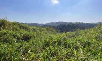 Imagem 4: V12- Terrenos com ótima topografia