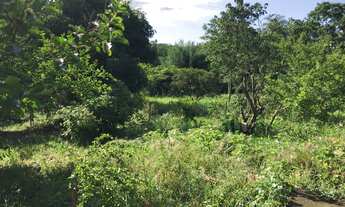 Imagem 7: Fazenda/Sítio/Chácara com casa e pomar em Santana do Pirapama/MG