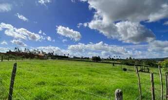 Imagem 4: Sítio bem situado no povoado lagoa do forno , próx BR 235