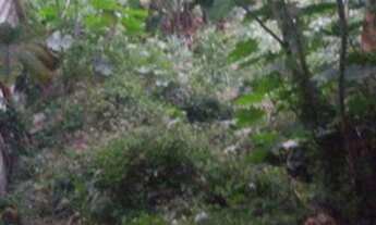 Imagem 1: Casa a venda Casa com 3 dormitórios