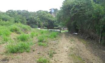 Imagem 5: Viamão - Terreno Padrão - Krahe