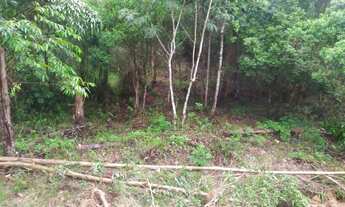 Imagem 4: Terreno em laranjal Paulo lopes