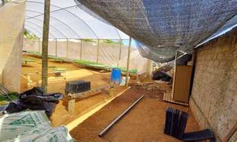 Imagem 4: Área no Setor Caldas D' Oeste