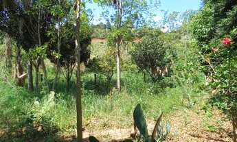 Imagem 3: Sitio próximo da cidade de Botucatu-SP, há apenas 300mts do asfalto
