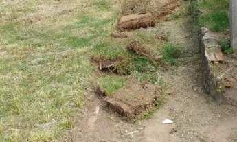 Imagem 3: Alugo casa em paulo lopes