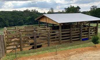 Imagem 5: SÃO MIGUEL ARCANJO - Chácara - Zona Rural