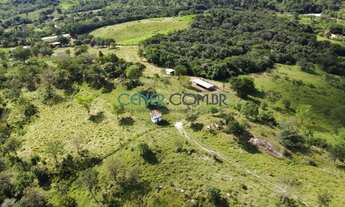 Imagem 3: LINDA FAZENDA/HARAS DE 54 HA COM ÓTIMA LOCALIZAÇÃO