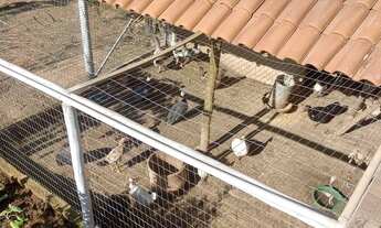 Imagem 7: Vendo sítio Chácara com venda por R$580.000