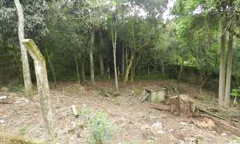 Imagem 4: Viamão - Terreno Padrão - Querência