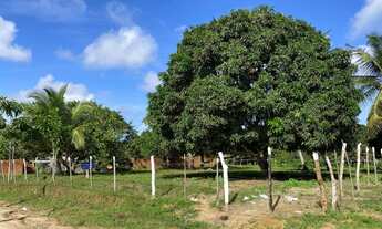 Imagem 4: Terreno na Várzea Grande